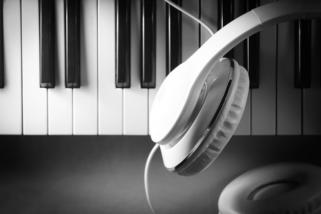 headphones